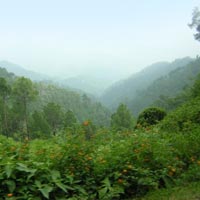 Kasauli Trip