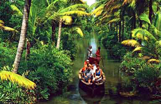Backwater In Kerala