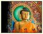 Buddhist Sector Tour Package