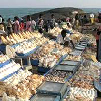 Shopping in Kanyakumari