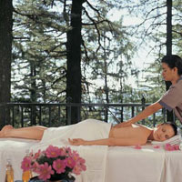 Wildflower Hall, Shimla