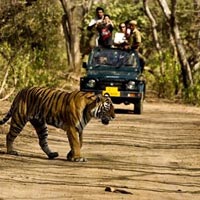 Corbett National Park