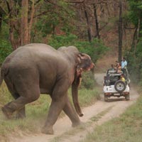 Corbett National Park